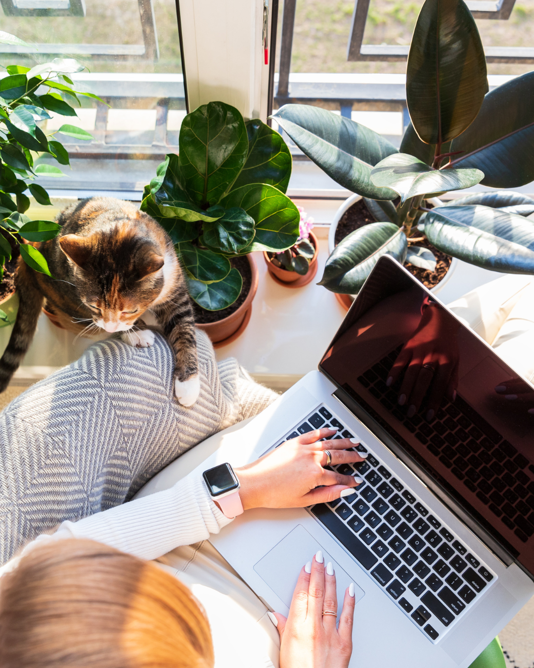 sure books process 2